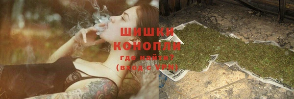 прущие грибы Алзамай