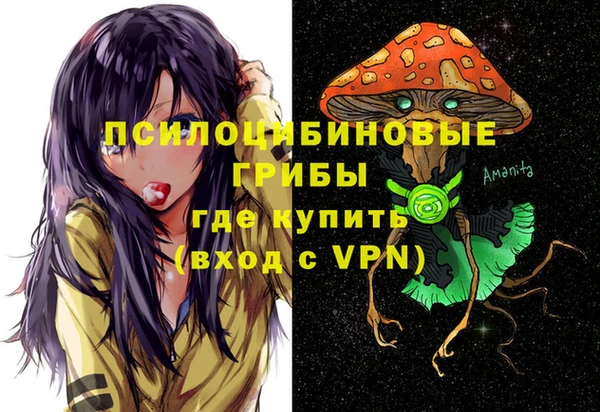 spice Алексеевка