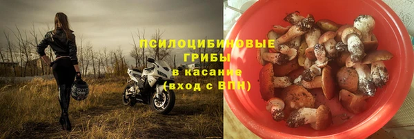 прущие грибы Алзамай