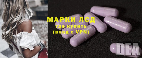 прущие грибы Алзамай