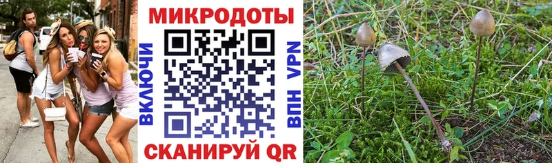 Псилоцибиновые грибы Psilocybe  MEGA как зайти  Пикалёво 